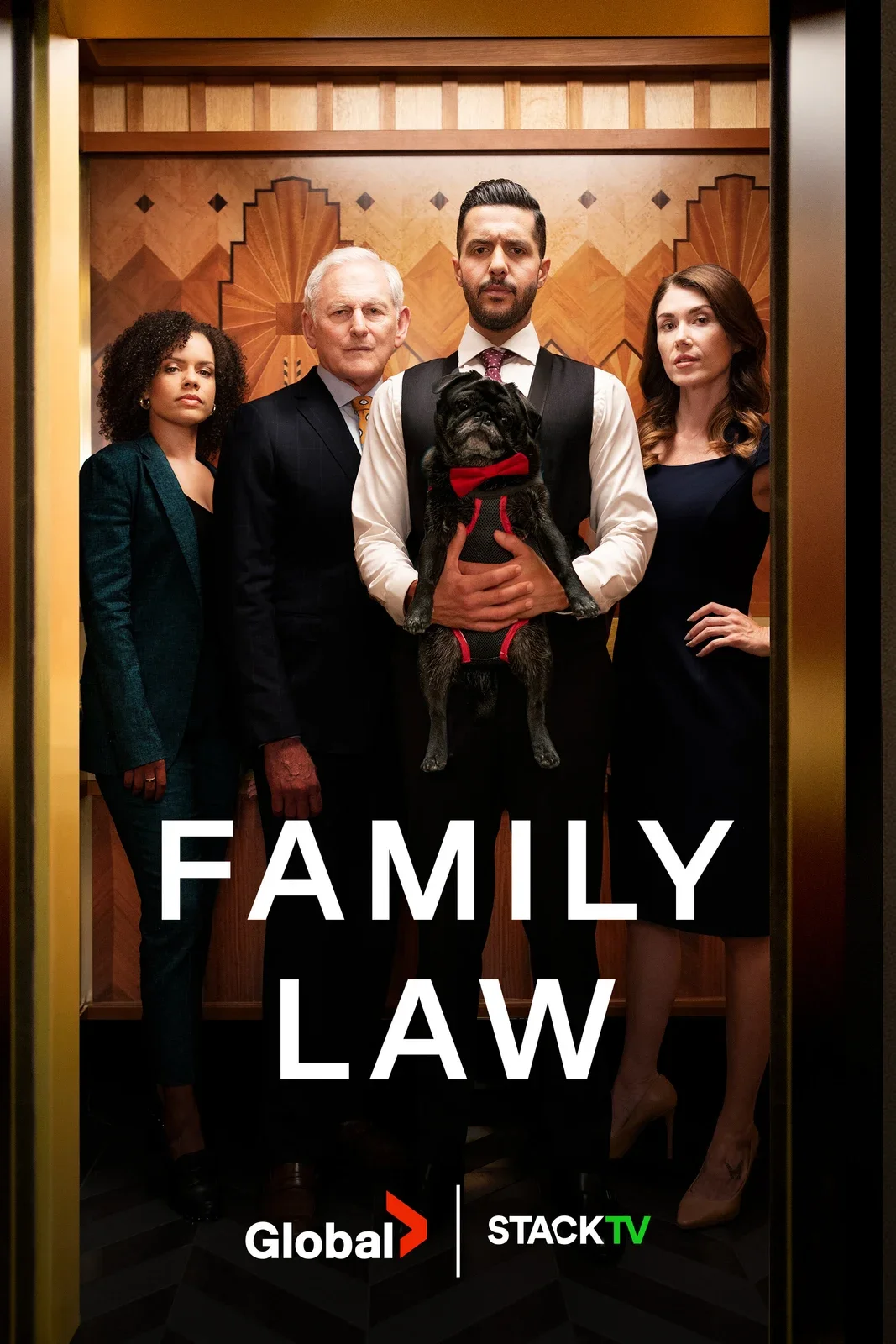 Family Law series poster